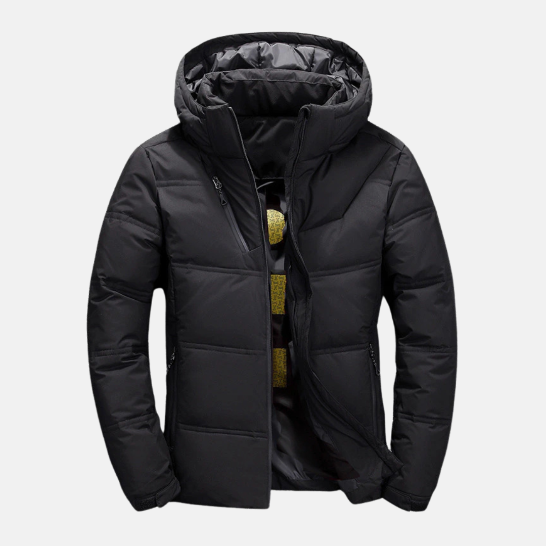Homme Doudoune - Tissu Tissé - Col Montant - Capuche Ajustable - Manches Longues