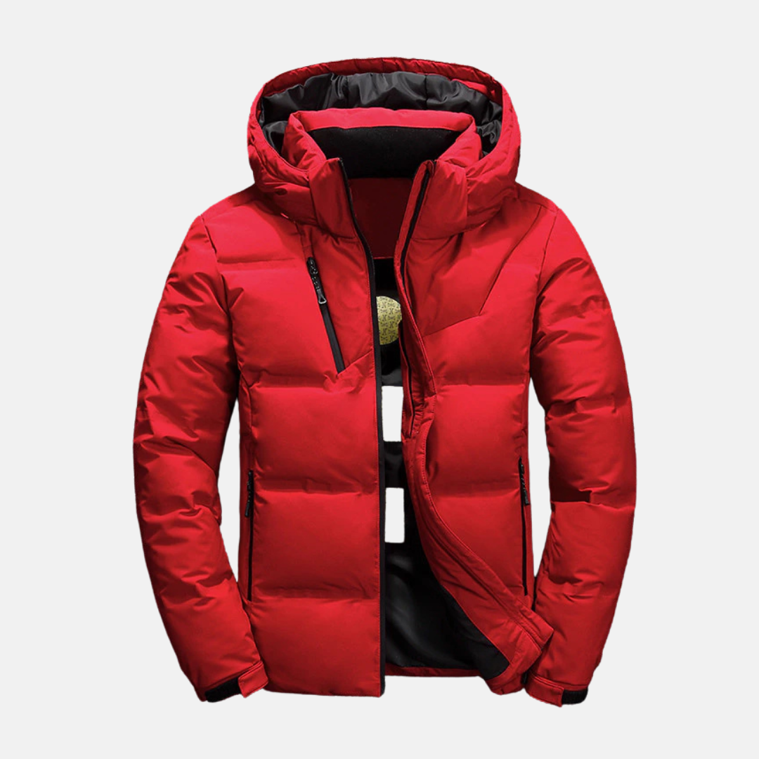 Homme Doudoune - Tissu Tissé - Col Montant - Capuche Ajustable - Manches Longues