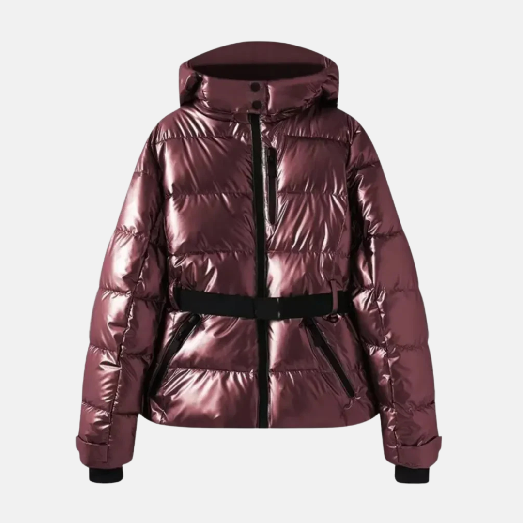Femme Veste De Ski - Tissu Tissé - Coupe Décontractée - Col Montant À Capuche