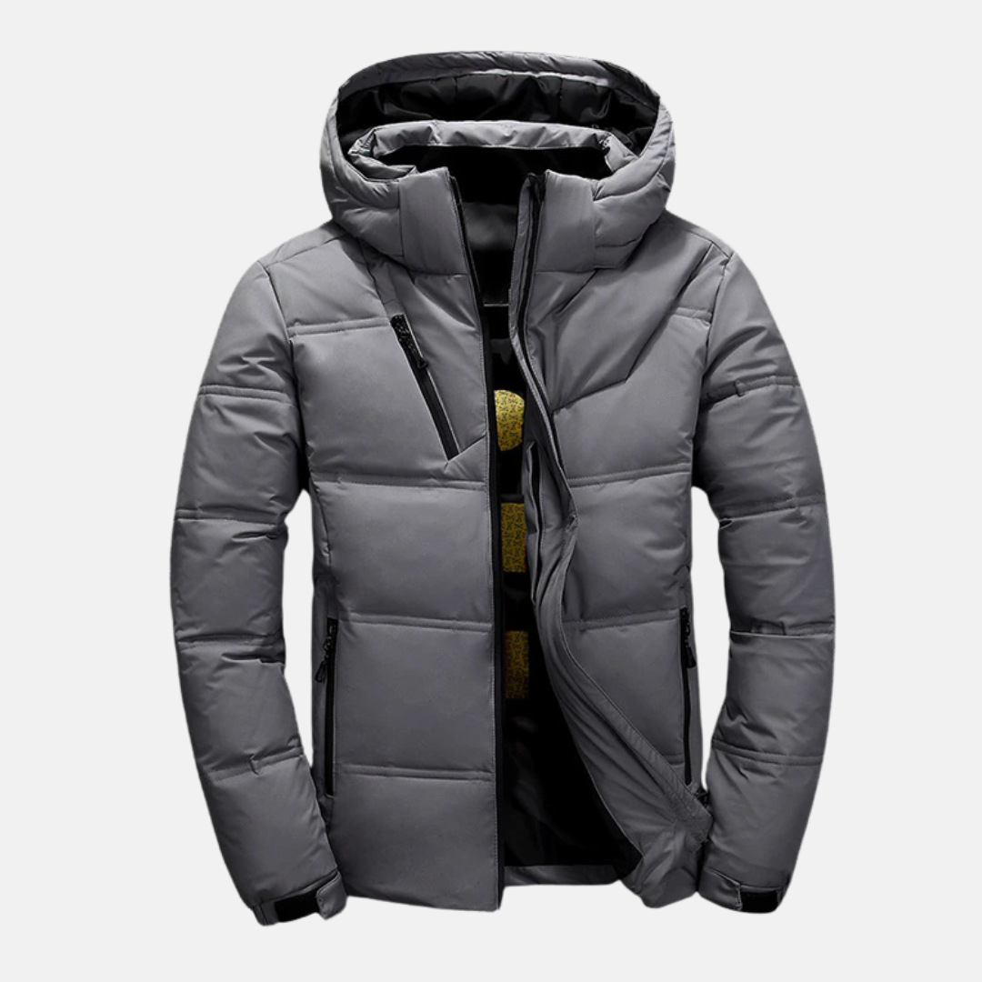 Homme Doudoune - Tissu Tissé - Col Montant - Capuche Ajustable - Manches Longues