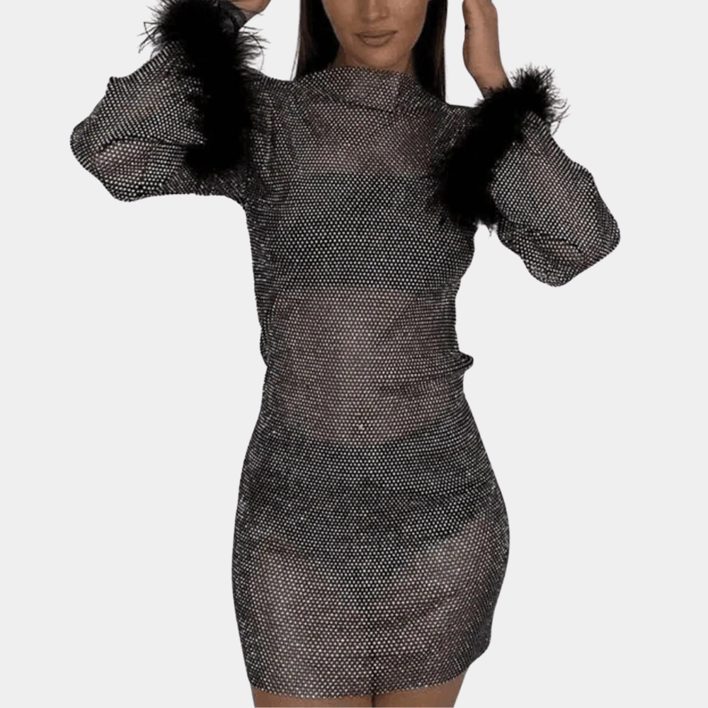 Robe Mini Femme - Manches Longues avec Plumes - Transparente à Motifs - Tenue de Soirée