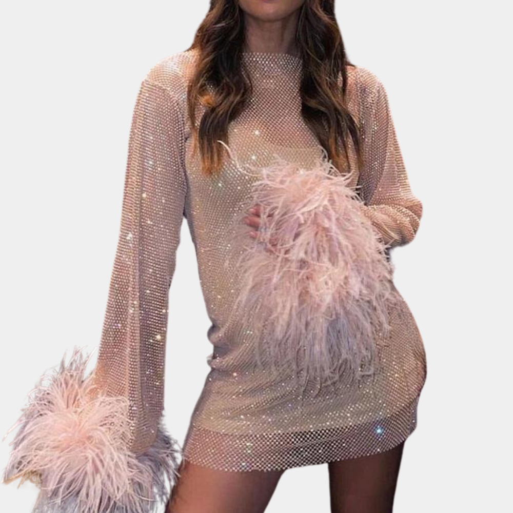 Robe Mini Femme - Manches Longues avec Plumes - Transparente à Motifs - Tenue de Soirée