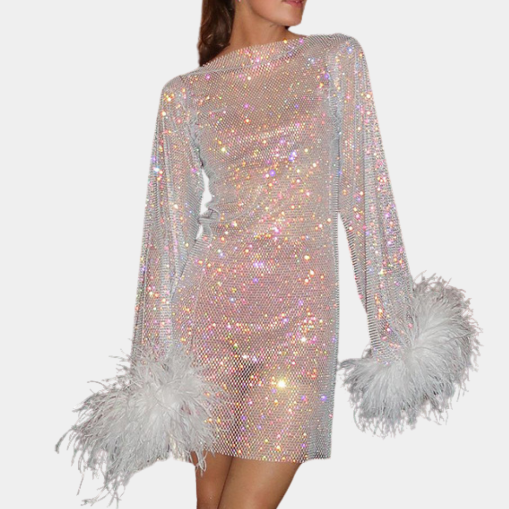Robe Mini Femme - Manches Longues avec Plumes - Transparente à Motifs - Tenue de Soirée