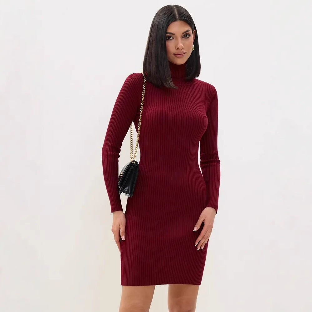 Robe Pull Femme – Maille Côtelée – Coupe Ajustée – Manches Longues – Col Roulé