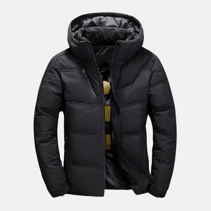 Homme Doudoune - Tissu Tissé - Col Montant - Capuche Ajustable - Manches Longues