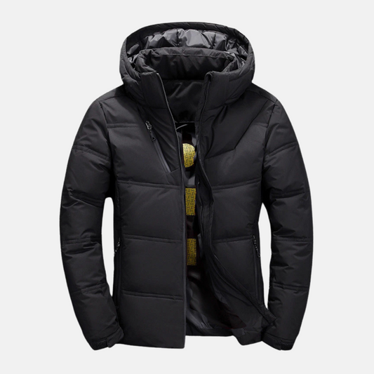 Homme Doudoune - Tissu Tissé - Col Montant - Capuche Ajustable - Manches Longues