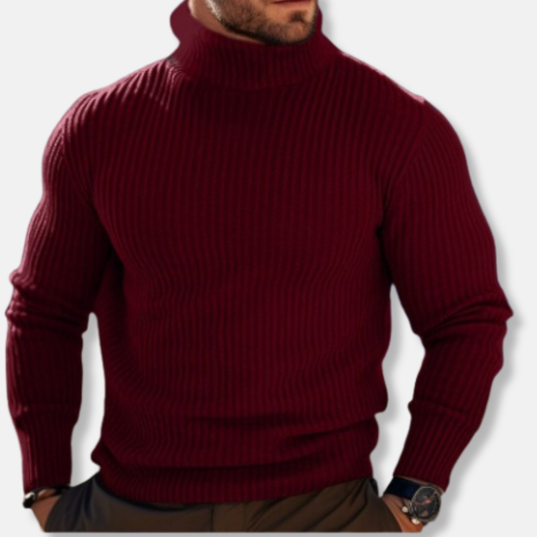 Henri Pull Col Roulé Ajusté | Manches Longues Pull