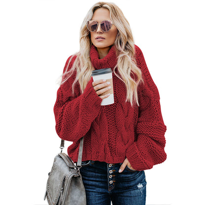 Pull col roulé en maille épaisse pour femme