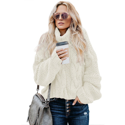 Pull col roulé en maille épaisse pour femme